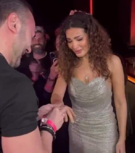 نادين نسيب نجيم