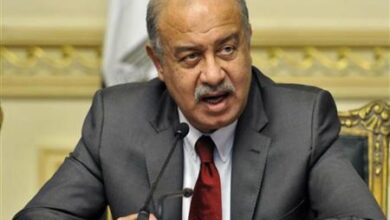 شريف إسماعيل رئيس الوزراء السابق