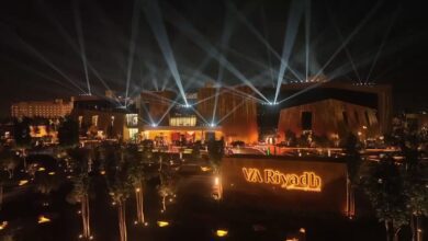 السينما في منطقة فيا رياض