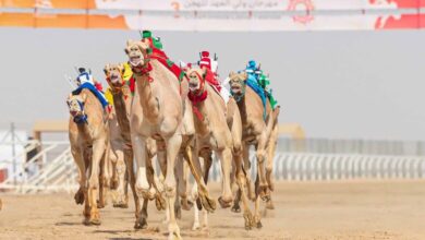 أسعار ورابط حجز تذاكر دخول مهرجان ولي العهد للهجن 2023