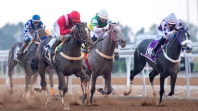 حجز تذاكر سباقات موسم الطائف كأس نادي سباقات الخيل للسرعة